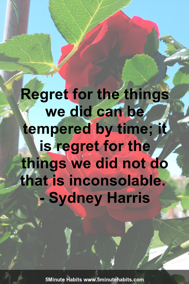 Regret for the things we did can be tempered by time; it is regret for the things we did not do that is inconsolable.  - Sydney Harris